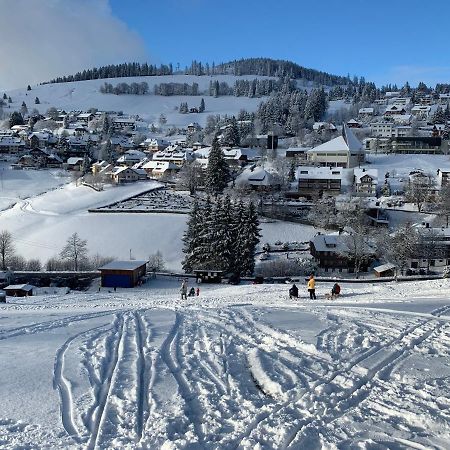 Haus Am Sonnenberg,Todtnauberg, Ferienwohnung 002, Direkt Am Skilift-Skipiste, Naehe Feldberg Exteriör bild