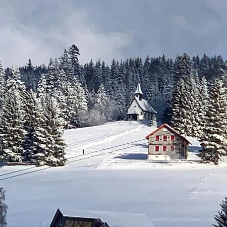 Haus Am Sonnenberg,Todtnauberg, Ferienwohnung 002, Direkt Am Skilift-Skipiste, Naehe Feldberg Exteriör bild