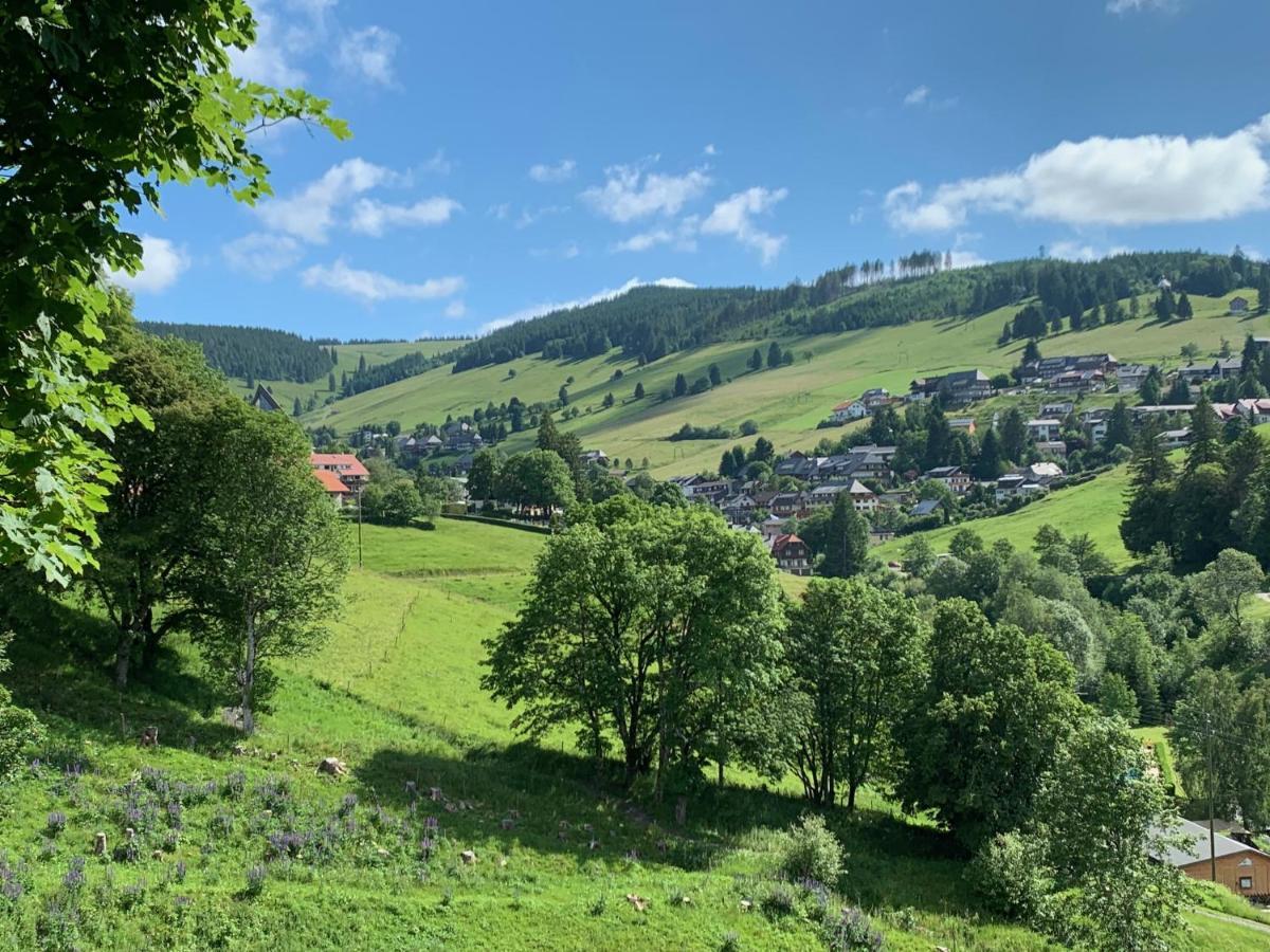 Haus Am Sonnenberg,Todtnauberg, Ferienwohnung 002, Direkt Am Skilift-Skipiste, Naehe Feldberg Exteriör bild