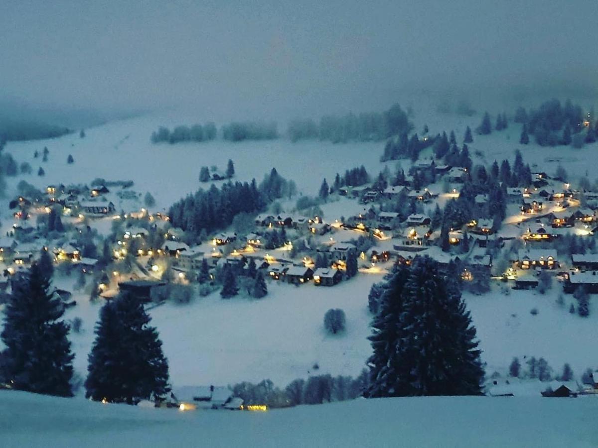 Haus Am Sonnenberg,Todtnauberg, Ferienwohnung 002, Direkt Am Skilift-Skipiste, Naehe Feldberg Exteriör bild