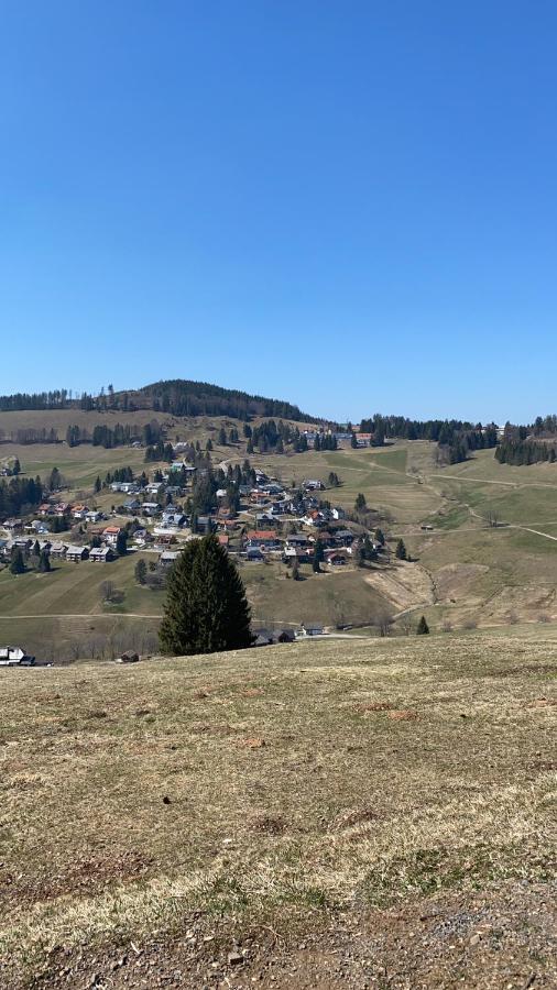 Haus Am Sonnenberg,Todtnauberg, Ferienwohnung 002, Direkt Am Skilift-Skipiste, Naehe Feldberg Exteriör bild