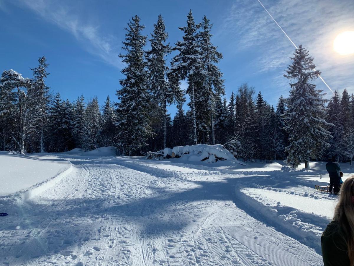 Haus Am Sonnenberg,Todtnauberg, Ferienwohnung 002, Direkt Am Skilift-Skipiste, Naehe Feldberg Exteriör bild